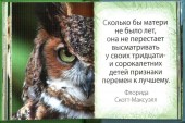 Сыну 3
